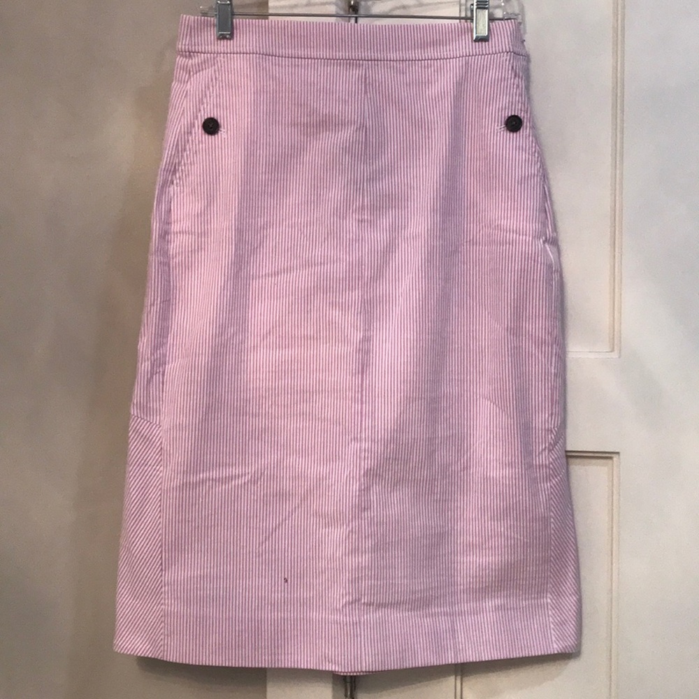 New J. Crew skirt